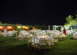 M&m_DECORACION
